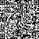 Google QR Code